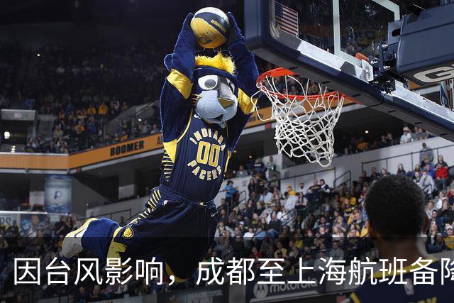 因台风影响，成都至上海航班备降北京后返回，乘客经历长途折返